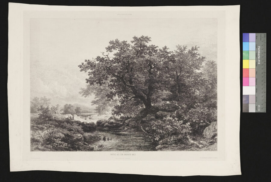Partie aus dem Bakonywald