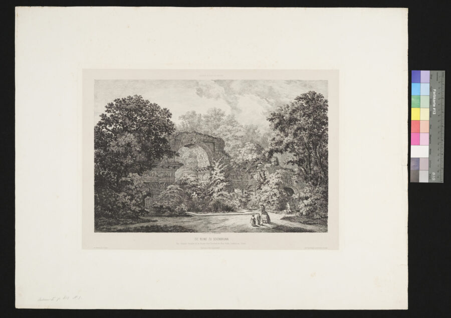 Die Ruine zu Schönbrunn
