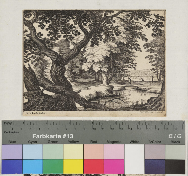 "12 Blätter Landschaften", Waldlandschaft mit Teich