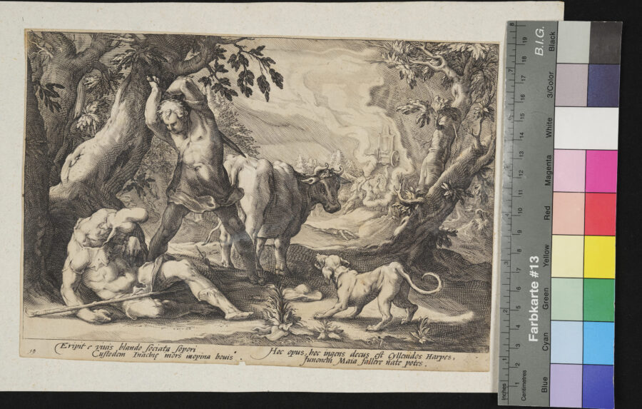 "Konvolut: Metamorphosen, Ovid, nach Goltzius, von seinen Schülern gestochen", Nr.19, Juno