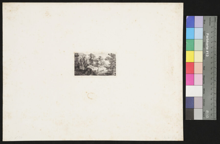 Nr.V,  Jäger und Hirsch im Wald