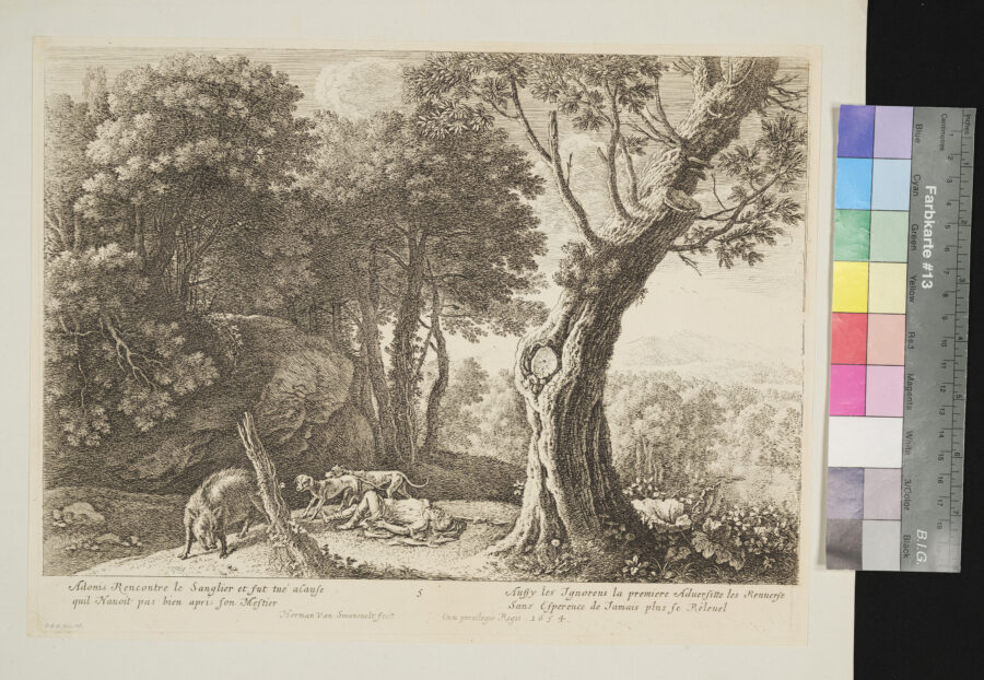 "Folge von 6 Blättern, Das Leben des Adonis", 5