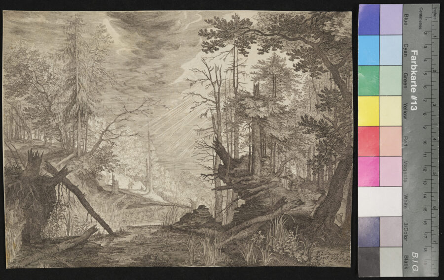 "Folge von 6 Landschaften aus Böhmen", Wald