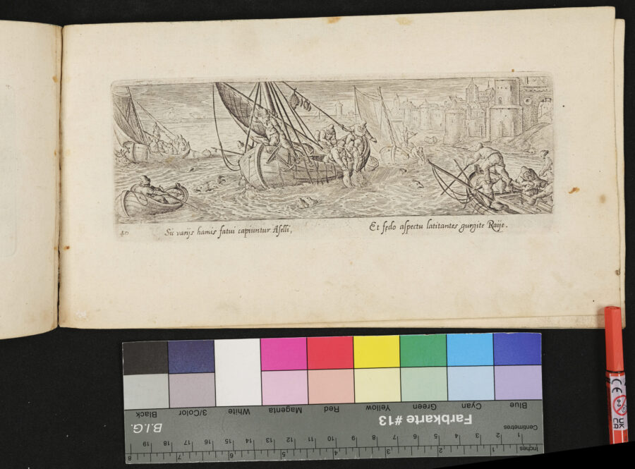 "Venationis, Piscationis etc.", Schollenfischerei