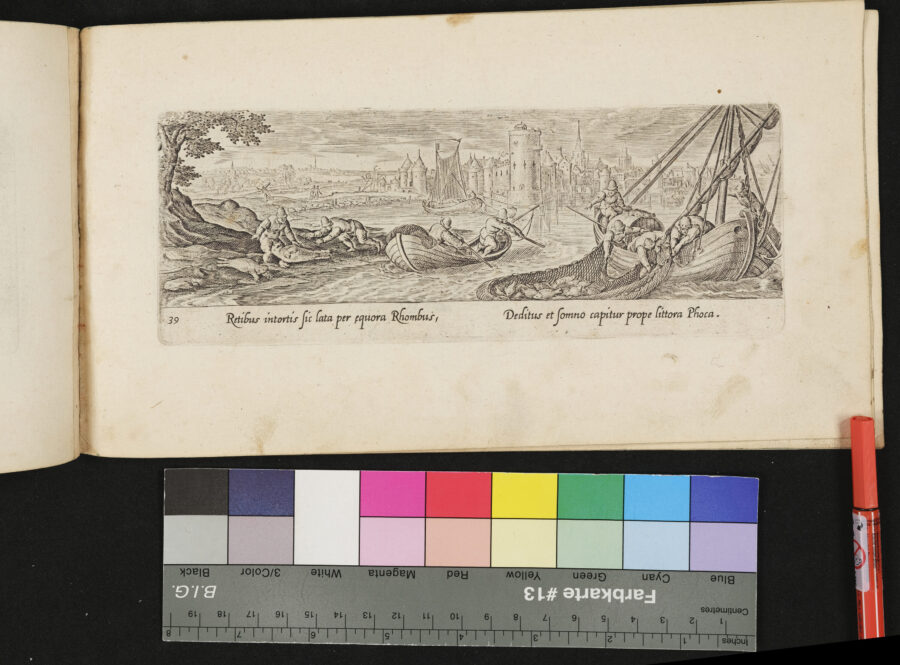 "Venationis, Piscationis etc.", Robbenfang