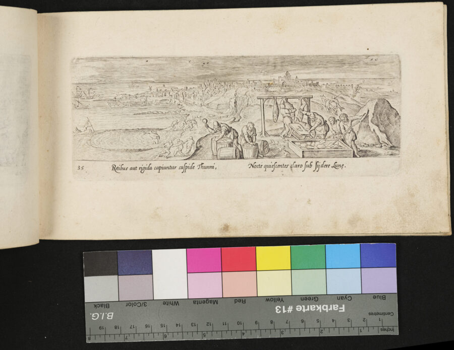 "Venationis, Piscationis etc.", Fischfang , Thunfisch, mit Netzen, Einpökeln in Fässer