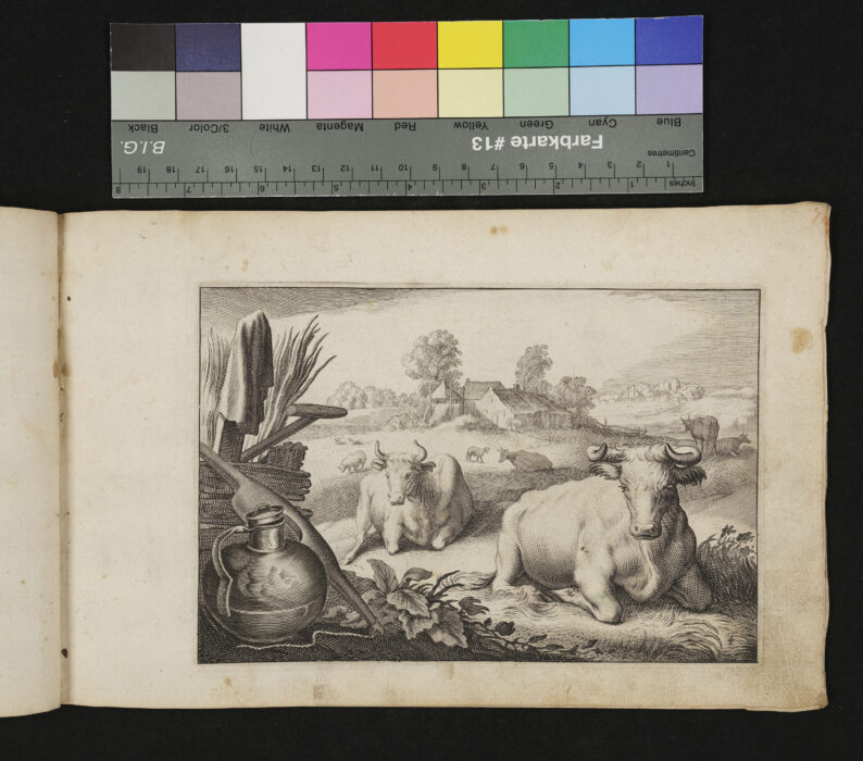 "20 Blätter aus 2 verschiedenen Folgen von Tieren", ruhendes Vieh, Nr.4