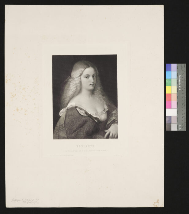Violante