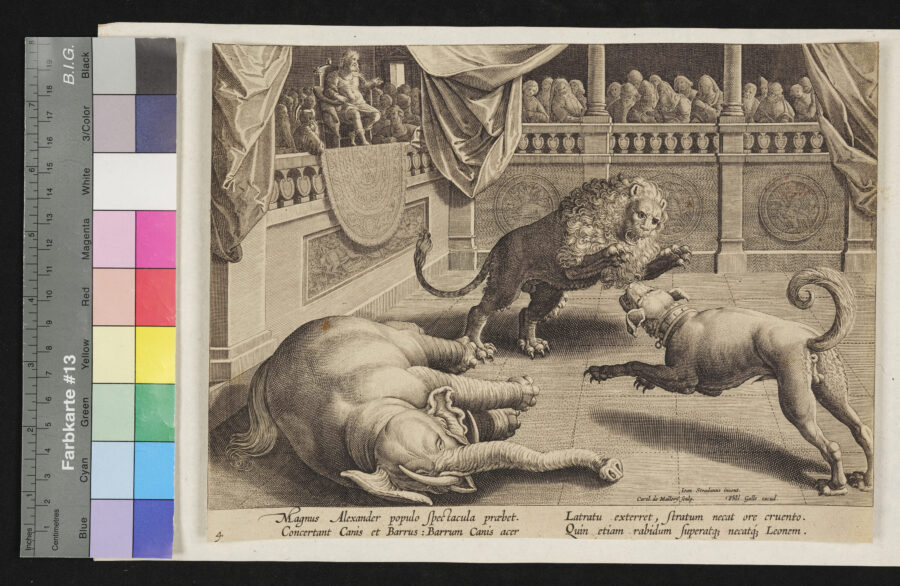 "4 Blätter aus den Venationes ferarum", Nr. 4, Tierhatz, veranstaltet von Alexander dem Großen mit Hund, Löwe und Elefant