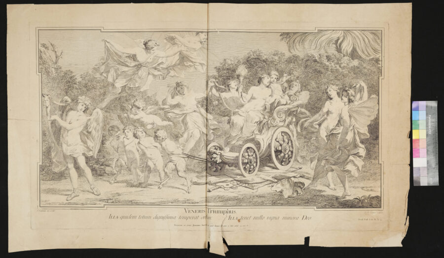 Der Triumph der Venus, Ovid