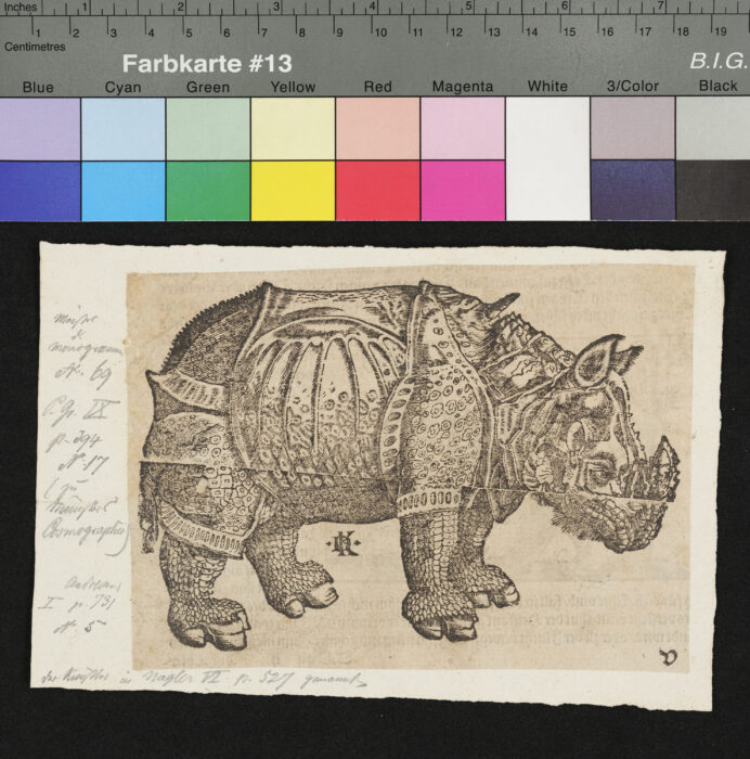 Das Rhinoceros, aus Münsters Cosmographie, Nr. 5, Rückseite: Text