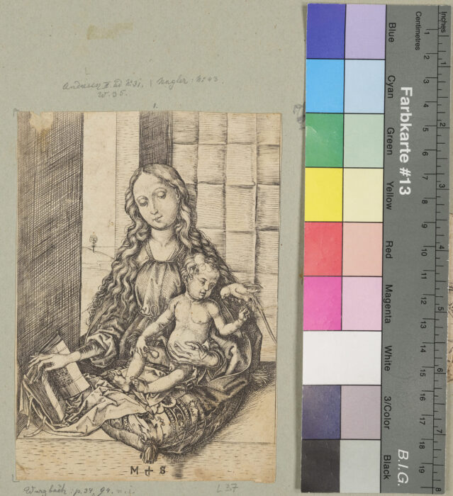 Die Madonna mit dem Papagei
