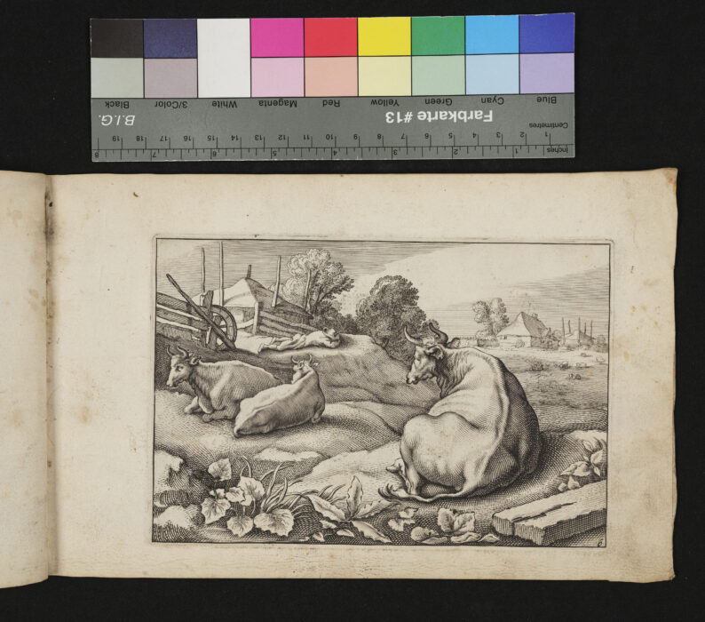 "20 Blätter aus 2 verschiedenen Folgen von Tieren", ruhende Rinder, schlafender Hirte, Nr.6