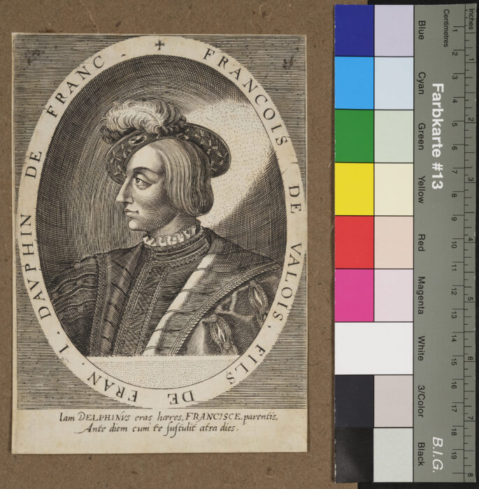 Franz von Valois, Dauphine von Frankreich