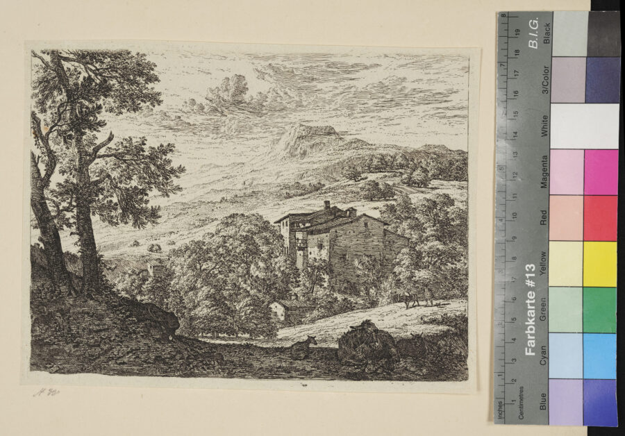 Der Esel zwischen 2 Schafen und Landschaft, im Hintergrund Haus