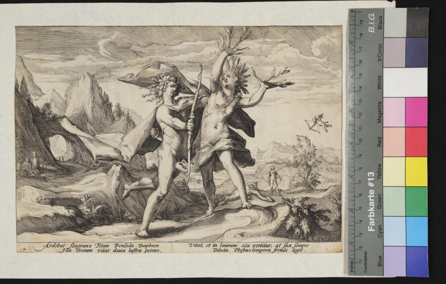 "Konvolut: Metamorphosen, Ovid, nach Goltzius, von seinen Schülern gestochen", Nr.14, Daphnis und Phoebus