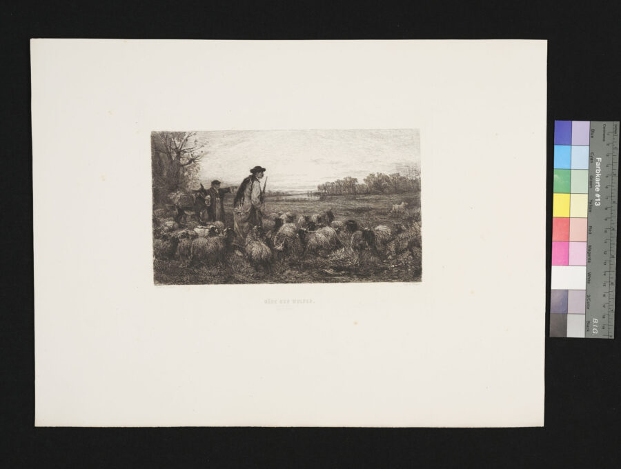 Nähe des Wolfes