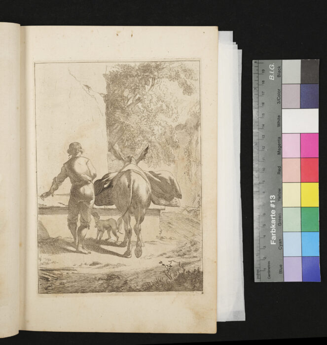 "Serie: Diversa Animalia", Nr.2, Packesel