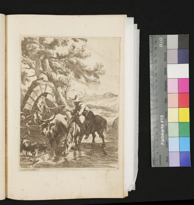 "Serie: Diversa Animalia", Nr.5, Herde mit Reiter an der Tränke