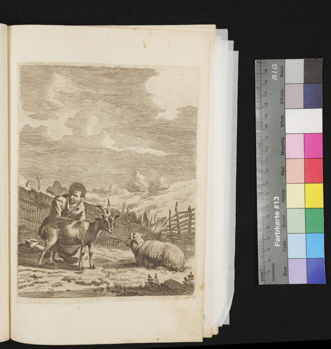 "Serie: Diversa Animalia", Nr.6, Ziegen, Melker