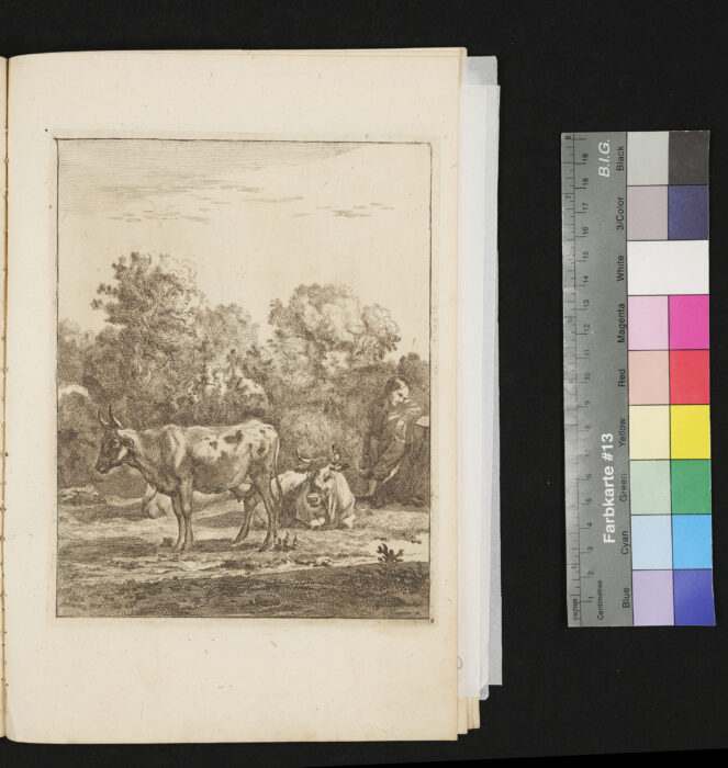 "Serie: Diversa Animalia", Nr.8, 2 Kühe mit Hirt