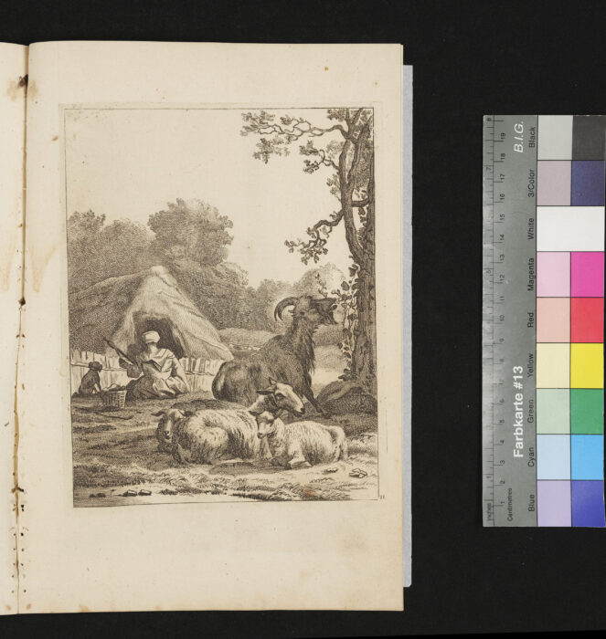 "Serie: Diversa Animalia", Nr.11, Schaf-, Ziegenherde, Frau mit Spinnroggen