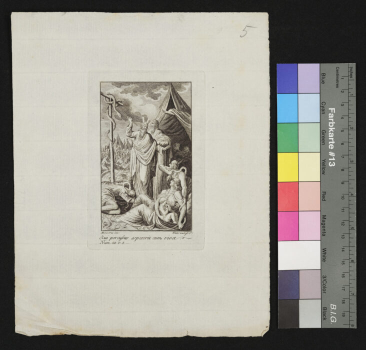 Moses und die Schlange in der Wüste, Num 21, 8