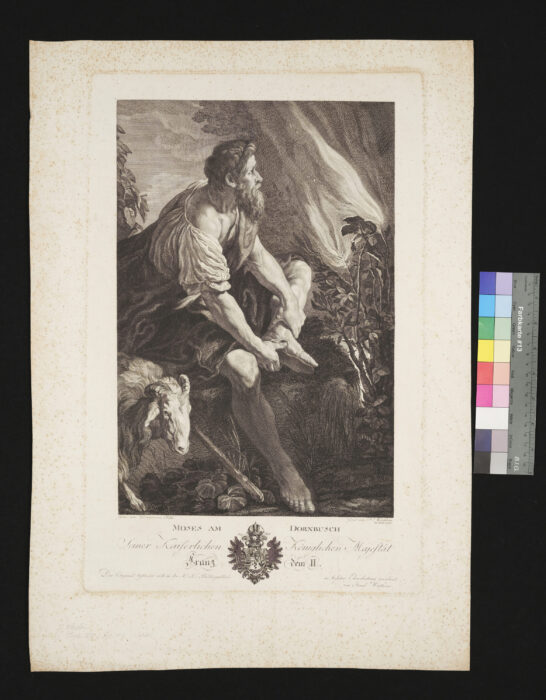 Moses am Dornbusch