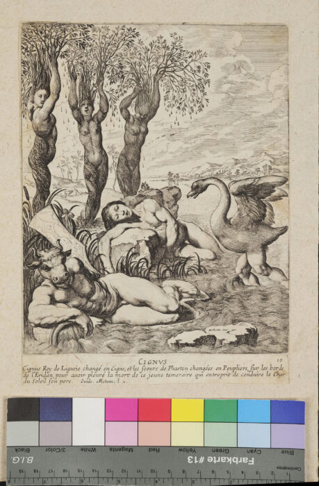 Cygnus und und Phaetons Schwestern, aus: Ovid, Metamorphosen, Nr. 1, 2