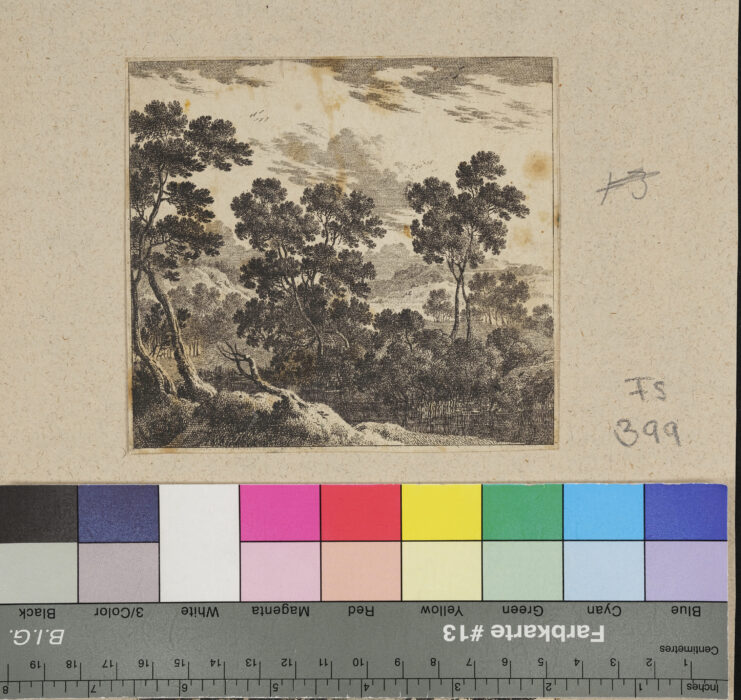 "8 Blätter verschiedene Landschaften", Waldlandschaft