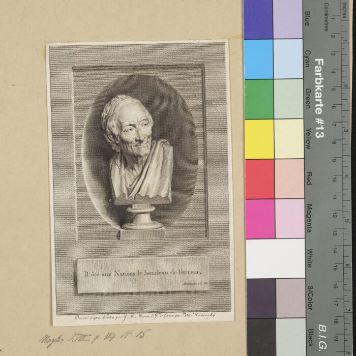 Voltaire, Büste