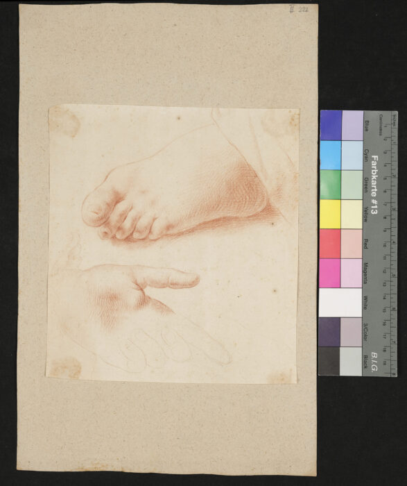 Fuß- und Handstudie