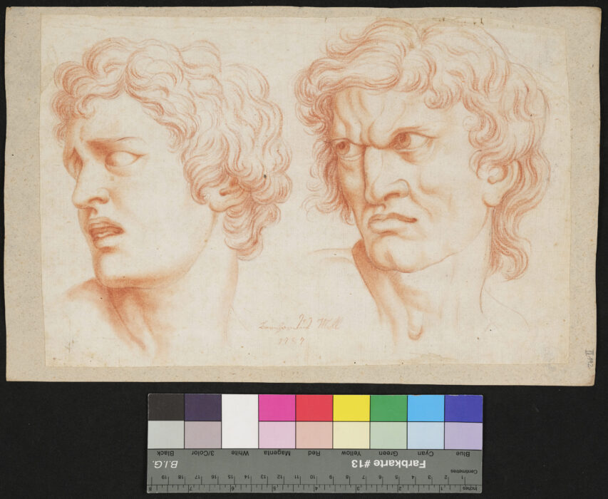 Zwei Studienköpfe