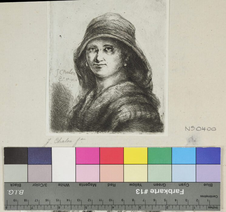 diverse Studienköpfe, Dame mit Schleier