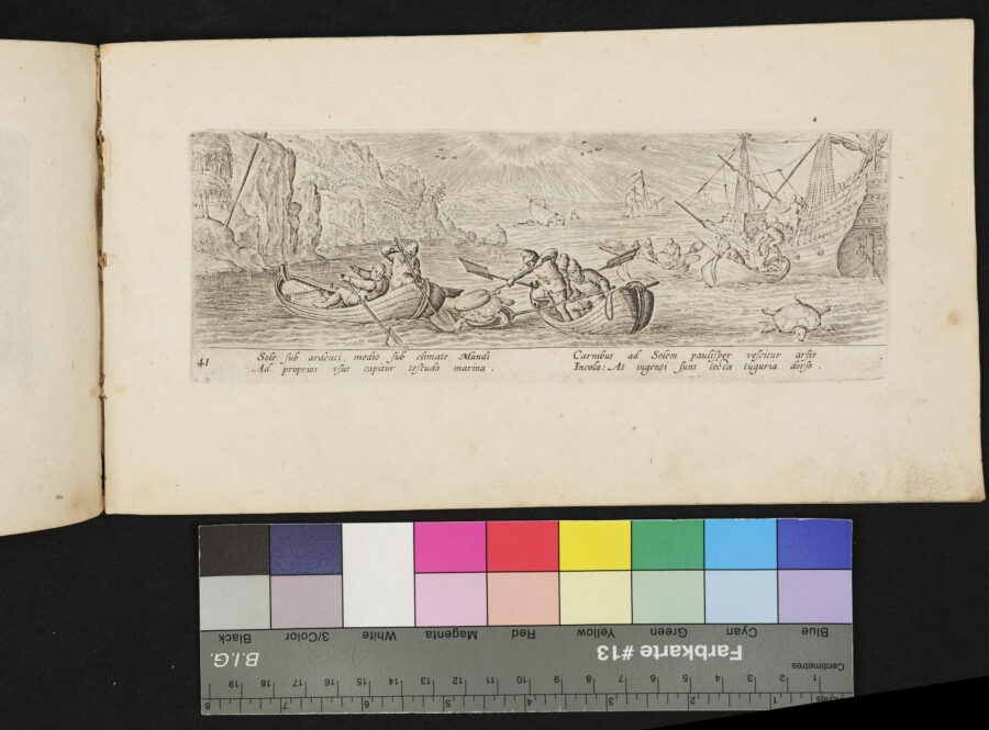 "Venationis, Piscationis etc.", Schildkrötenjagd