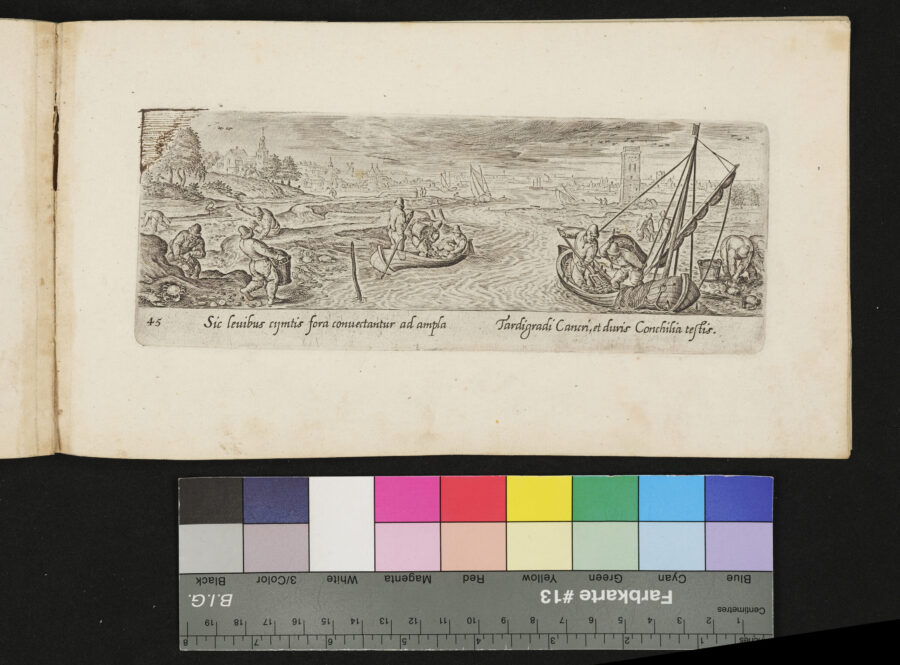 "Venationis, Piscationis etc.", Muschelernte im Flachwasser, Krebse und Krabben