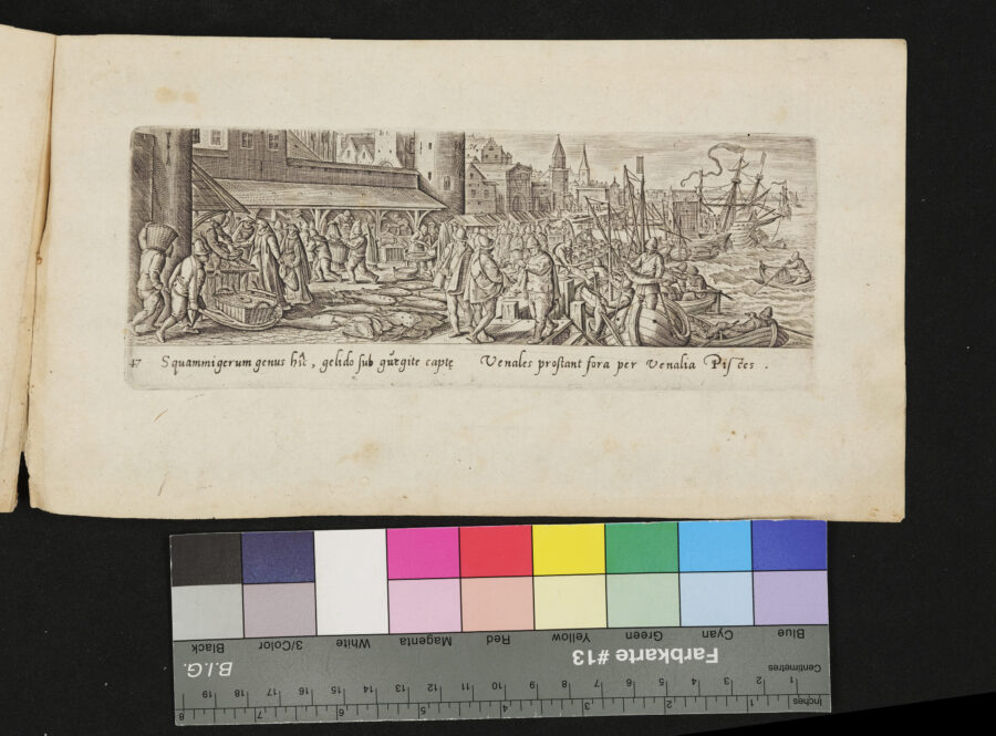 "Venationis, Piscationis etc.", Fischmarkt am Kai, dahinter die Stadt
