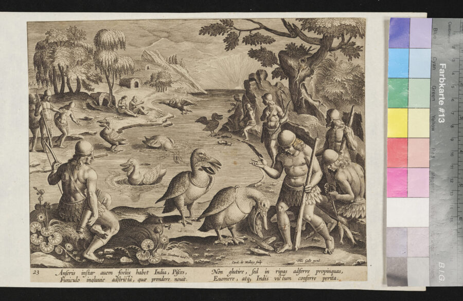 "4 Blätter aus den Venationes ferarum", Nr. 23, Pelikanfischerei, Gans
