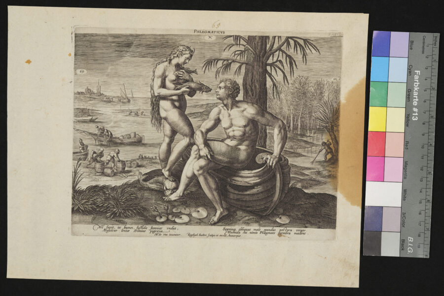 "Die 4 Temperamente", Phlegmaticus